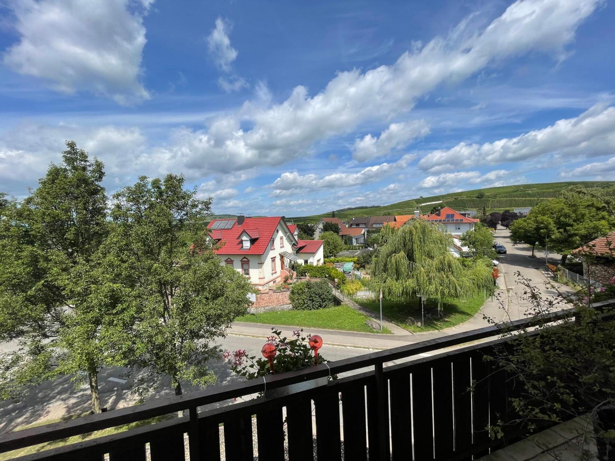 Zum Rayers Cafe-Restaurant & Boutique-Hotel Niederrotweil 外观 照片